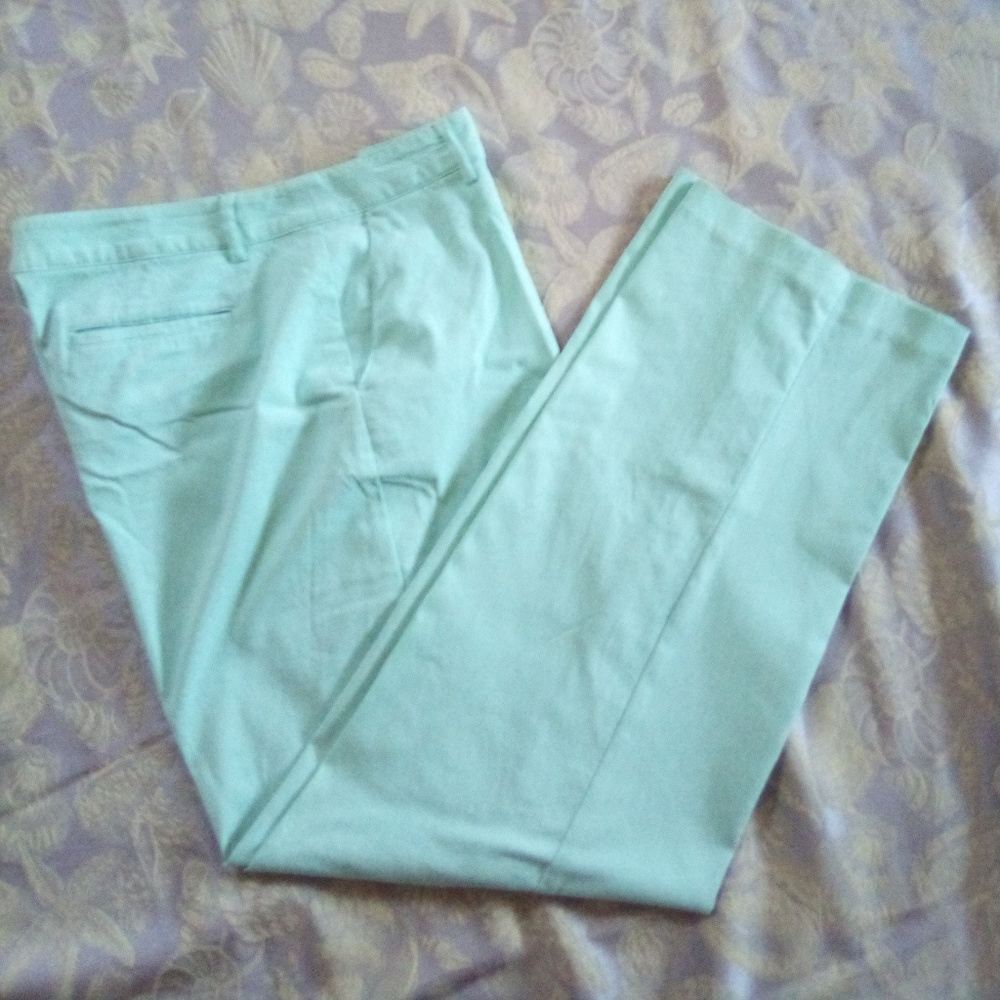 Izod Blue Pants